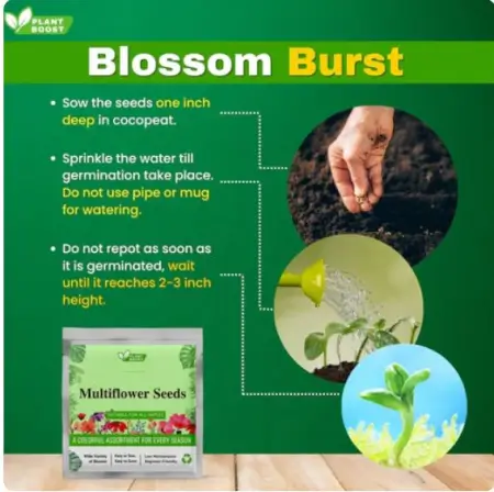 JoPRuoQezYKl75y6OHJqNWLJT15PviIQtTHvdVWt.webp COMBO DEAL PLANT BOOST WITH FLOWER SEEDS PACK OF 2 ( default, OS )