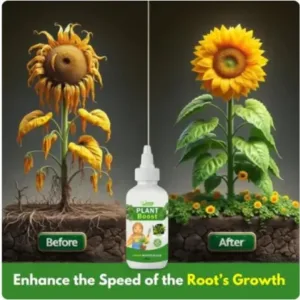 COMBO DEAL PLANT BOOST WITH FLOWER SEEDS PACK OF 2 ( default, OS )